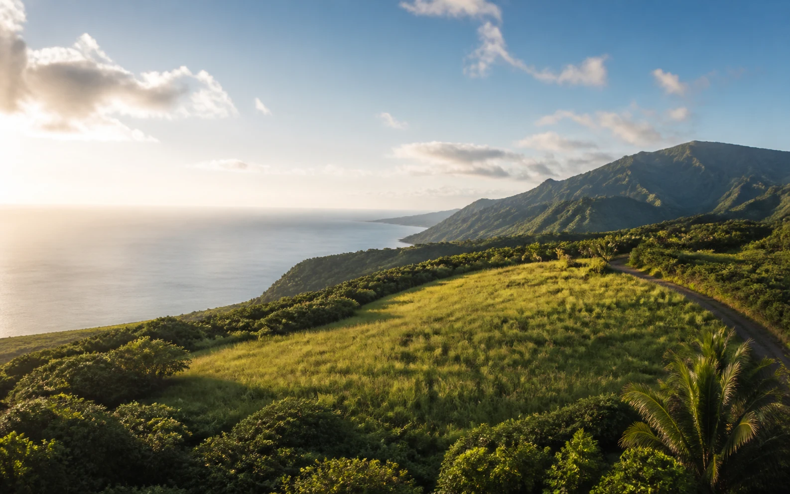 Aerial field view of a tropical property being evaluated for feasibility